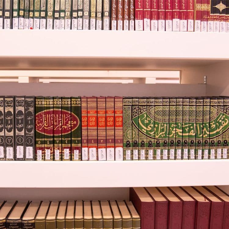 medium_1603612466Lib_diwan_low.jpg